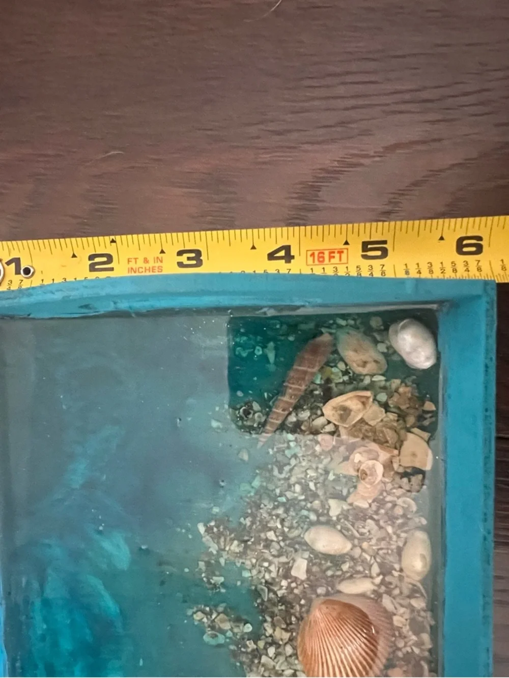 Teal Coastal Wooden Decorative Serving Tray with Shell Accent and Resin Ocean